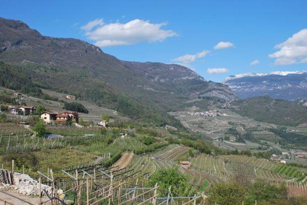 Agritur Le Pergole Villa Lagarina Exterior foto